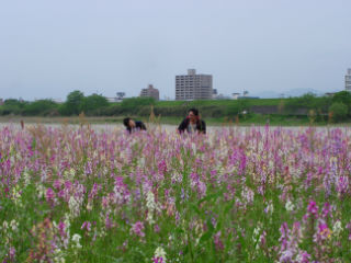 DSC02239.jpg