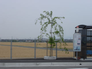 DSC02426.jpg